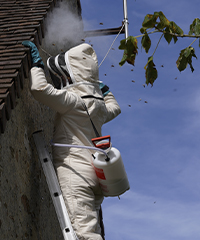 Intervention anti-nuisibles