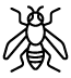shape